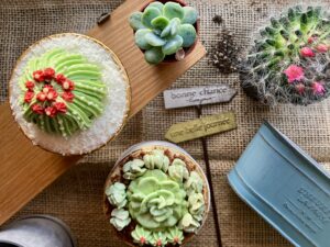 多肉植物のカップケーキ