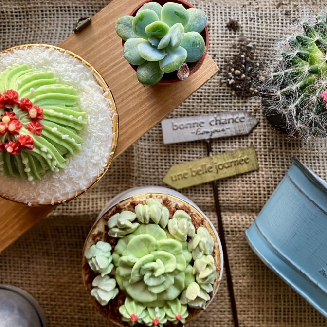 多肉植物のカップケーキ